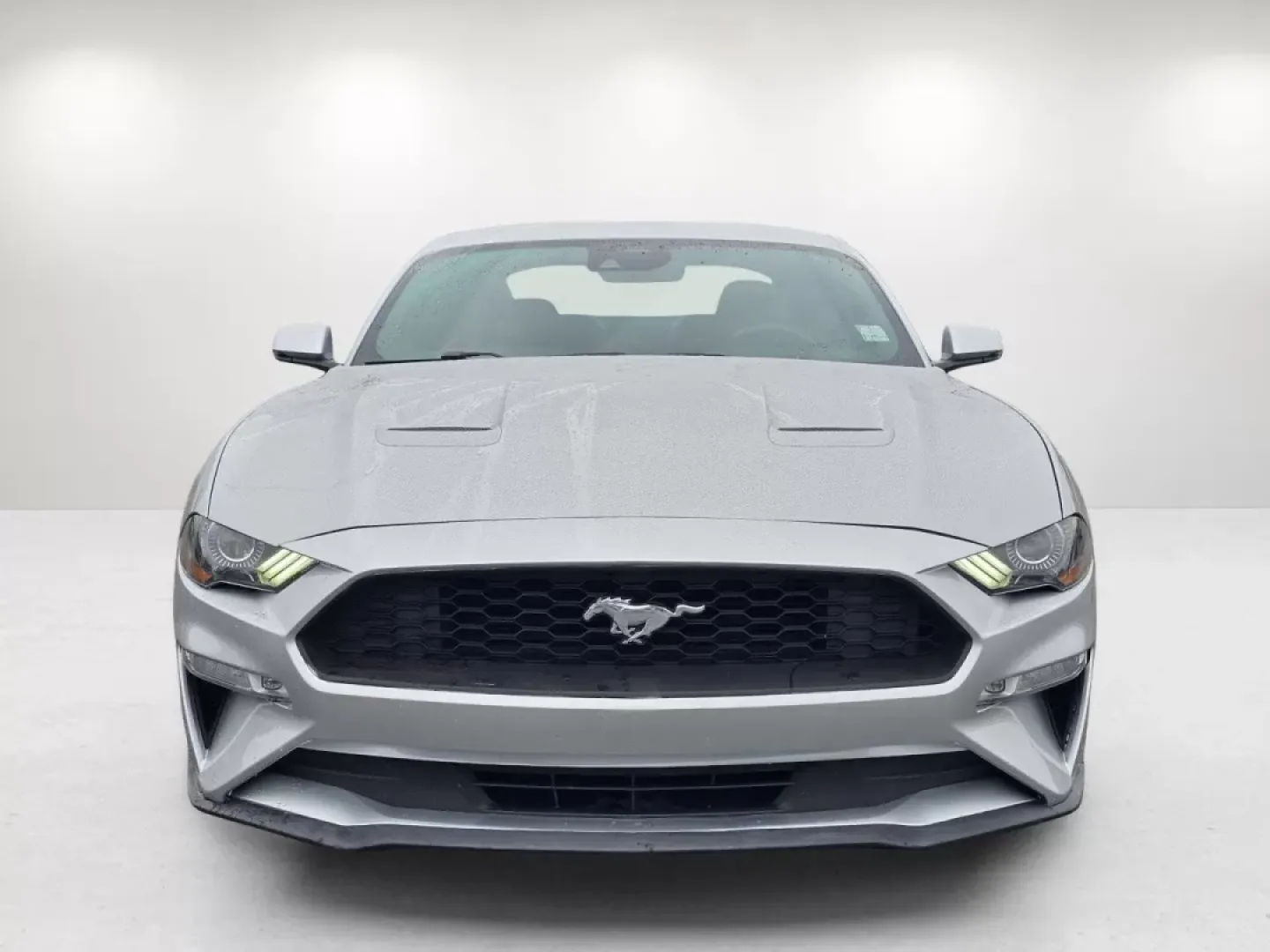 2019 Ford Mustang EcoBoost Premium (1FA6P8TH5K5) with an Other engine, located at 1430 Gateway Drive, Opelika, AL, 36801, (334) 239-0944, 32.637871, -85.409790 - 2019 Ford Mustang EcoBoost Premium - Photo#1