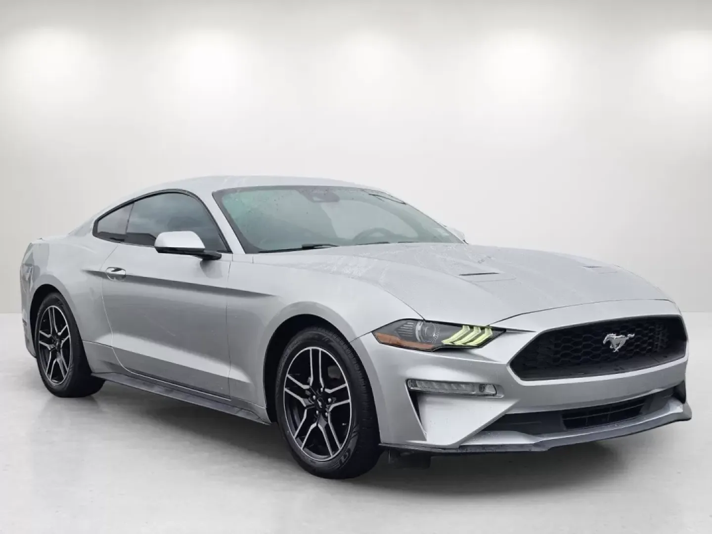 2019 Ford Mustang EcoBoost Premium (1FA6P8TH5K5) with an Other engine, located at 1430 Gateway Drive, Opelika, AL, 36801, (334) 239-0944, 32.637871, -85.409790 - 2019 Ford Mustang EcoBoost Premium - Photo#2