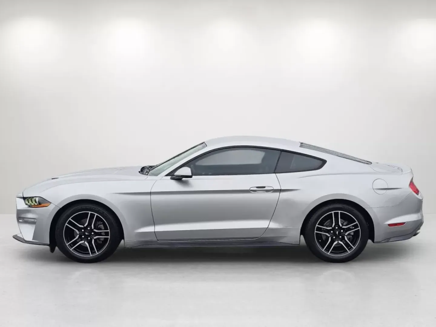 2019 Ford Mustang EcoBoost Premium (1FA6P8TH5K5) with an Other engine, located at 1430 Gateway Drive, Opelika, AL, 36801, (334) 239-0944, 32.637871, -85.409790 - 2019 Ford Mustang EcoBoost Premium - Photo#7